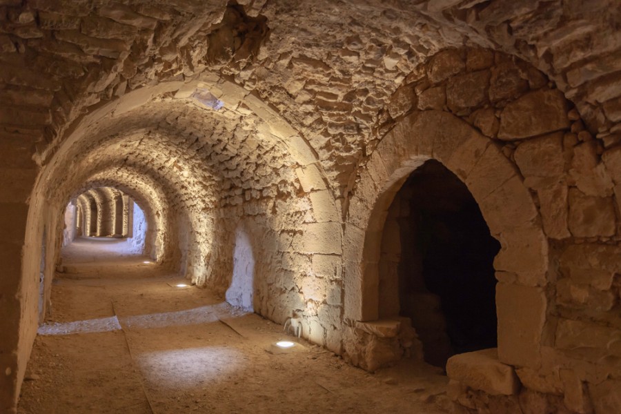 Comment visiter les châteaux du désert en Jordanie ?