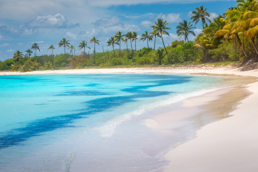 Pourquoi choisir une île des Caraïbes pour vos vacances ?