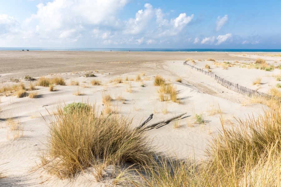 Quels sont les meilleurs endroits à visiter lors d’un week-end en Camargue ?