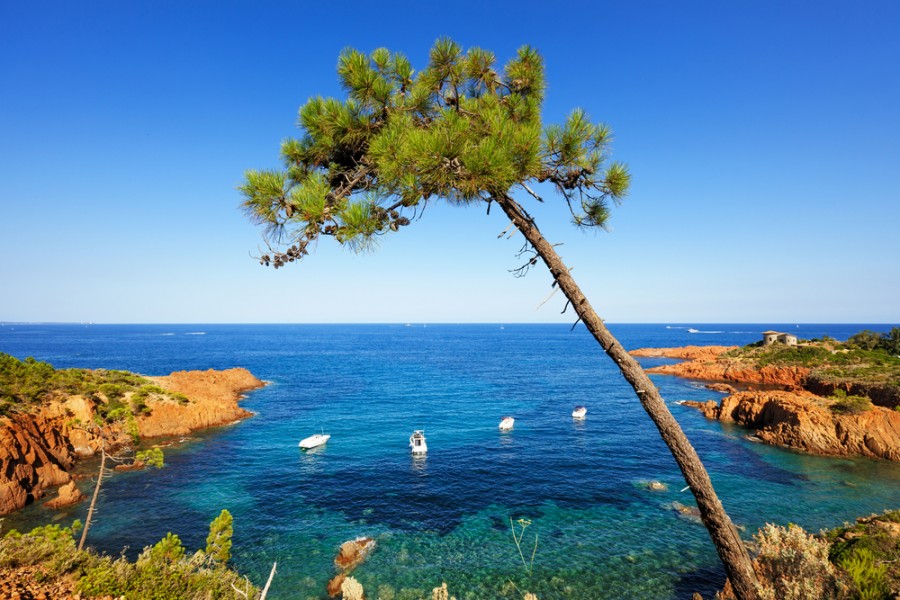 Sud vacances : pourquoi privilégier cette destination ?